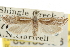  ( - CNCLEP00105486)  @11 [ ] CreativeCommons - Attribution (2013) CBG Photography Group Centre for Biodiversity Genomics