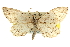  ( - CNCLEP00105762)  @15 [ ] CreativeCommons - Attribution (2013) CBG Photography Group Centre for Biodiversity Genomics