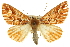  ( - CNCLEP00105891)  @15 [ ] CreativeCommons - Attribution (2013) CBG Photography Group Centre for Biodiversity Genomics