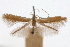  ( - CNCLEP00105958)  @11 [ ] CreativeCommons - Attribution (2013) CBG Photography Group Centre for Biodiversity Genomics