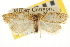  (Acleris klotsi - CNCLEP00105980)  @14 [ ] CreativeCommons - Attribution (2013) CBG Photography Group Centre for Biodiversity Genomics