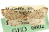  ( - CNCLEP00106137)  @11 [ ] CreativeCommons - Attribution (2013) CBG Photography Group Centre for Biodiversity Genomics