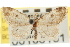  ( - CNCLEP00106181)  @11 [ ] CreativeCommons - Attribution (2013) CBG Photography Group Centre for Biodiversity Genomics