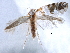  ( - CNCLEP00106256)  @13 [ ] CreativeCommons - Attribution (2013) CBG Photography Group Centre for Biodiversity Genomics