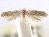  ( - CNCLEP00106285)  @11 [ ] CreativeCommons - Attribution (2013) CBG Photography Group Centre for Biodiversity Genomics
