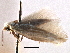  ( - CNCLEP00106296)  @12 [ ] CreativeCommons - Attribution (2013) CBG Photography Group Centre for Biodiversity Genomics