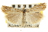  ( - CNCLEP00106351)  @11 [ ] CreativeCommons - Attribution (2013) CBG Photography Group Centre for Biodiversity Genomics