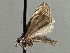  ( - CNCLEP00106416)  @12 [ ] CreativeCommons - Attribution (2013) CBG Photography Group Centre for Biodiversity Genomics