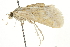  ( - CNCLEP00106436)  @12 [ ] CreativeCommons - Attribution (2013) CBG Photography Group Centre for Biodiversity Genomics