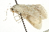  ( - CNCLEP00106437)  @12 [ ] CreativeCommons - Attribution (2013) CBG Photography Group Centre for Biodiversity Genomics