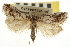  ( - CNCLEP00107039)  @11 [ ] CreativeCommons - Attribution (2013) CBG Photography Group Centre for Biodiversity Genomics