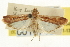  ( - CNCLEP00107154)  @14 [ ] CreativeCommons - Attribution (2013) CBG Photography Group Centre for Biodiversity Genomics
