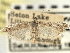 ( - CNCLEP00107322)  @11 [ ] CreativeCommons - Attribution (2013) CBG Photography Group Centre for Biodiversity Genomics