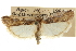  ( - CNCLEP00107364)  @14 [ ] CreativeCommons - Attribution (2013) CBG Photography Group Centre for Biodiversity Genomics