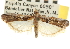  ( - CNCLEP00107366)  @14 [ ] CreativeCommons - Attribution (2013) CBG Photography Group Centre for Biodiversity Genomics