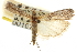  ( - CNCLEP00107373)  @11 [ ] CreativeCommons - Attribution (2013) CBG Photography Group Centre for Biodiversity Genomics