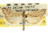  ( - CNCLEP00107416)  @11 [ ] CreativeCommons - Attribution (2013) CBG Photography Group Centre for Biodiversity Genomics