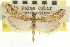  ( - CNCLEP00107417)  @11 [ ] CreativeCommons - Attribution (2013) CBG Photography Group Centre for Biodiversity Genomics