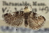  ( - CNCLEP00107506)  @11 [ ] CreativeCommons - Attribution (2013) CBG Photography Group Centre for Biodiversity Genomics