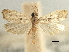  ( - CNCLEP00107549)  @11 [ ] CreativeCommons - Attribution (2013) CBG Photography Group Centre for Biodiversity Genomics