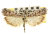  ( - CNCLEP00107553)  @11 [ ] CreativeCommons - Attribution (2013) CBG Photography Group Centre for Biodiversity Genomics