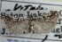  ( - CNCLEP00107656)  @11 [ ] CreativeCommons - Attribution (2013) CBG Photography Group Centre for Biodiversity Genomics