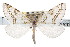  ( - CNCLEP00107754)  @14 [ ] CreativeCommons - Attribution (2013) CBG Photography Group Centre for Biodiversity Genomics