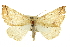  ( - CNCLEP00107769)  @14 [ ] CreativeCommons - Attribution (2013) CBG Photography Group Centre for Biodiversity Genomics