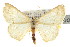  ( - CNCLEP00107776)  @14 [ ] CreativeCommons - Attribution (2013) CBG Photography Group Centre for Biodiversity Genomics