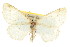  ( - CNCLEP00107777)  @11 [ ] CreativeCommons - Attribution (2013) CBG Photography Group Centre for Biodiversity Genomics
