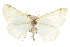  ( - CNCLEP00107778)  @14 [ ] CreativeCommons - Attribution (2013) CBG Photography Group Centre for Biodiversity Genomics