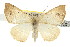  ( - CNCLEP00107787)  @15 [ ] CreativeCommons - Attribution (2013) CBG Photography Group Centre for Biodiversity Genomics