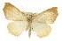  ( - CNCLEP00107788)  @15 [ ] CreativeCommons - Attribution (2013) CBG Photography Group Centre for Biodiversity Genomics