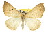  ( - CNCLEP00107789)  @15 [ ] CreativeCommons - Attribution (2013) CBG Photography Group Centre for Biodiversity Genomics