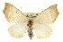  ( - CNCLEP00107791)  @15 [ ] CreativeCommons - Attribution (2013) CBG Photography Group Centre for Biodiversity Genomics