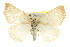  ( - CNCLEP00107792)  @15 [ ] CreativeCommons - Attribution (2013) CBG Photography Group Centre for Biodiversity Genomics