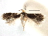  ( - CNCLEP00104189)  @11 [ ] CreativeCommons - Attribution (2013) CBG Photography Group Centre for Biodiversity Genomics