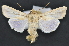  ( - CNCLEP 102405)  @14 [ ] CreativeCommons - Attribution (2013) CBG Photography Group Centre for Biodiversity Genomics