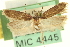  ( - USNM ENT 00006627)  @11 [ ] CreativeCommons - Attribution (2013) CNC/CBG Photography Group Centre for Biodiversity Genomics