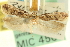  ( - USNM ENT 00016192)  @11 [ ] CreativeCommons - Attribution (2013) CNC/CBG Photography Group Centre for Biodiversity Genomics
