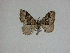  ( - 14-NCCC-208)  @13 [ ] Unspecified (default): All Rights Reserved  Unspecified Unspecified