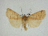  ( - 14-NCCC-226)  @13 [ ] Unspecified (default): All Rights Reserved  Unspecified Unspecified