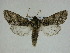  ( - 14-NCCC-237)  @14 [ ] Unspecified (default): All Rights Reserved  Unspecified Unspecified