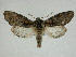  ( - 14-NCCC-238)  @13 [ ] Unspecified (default): All Rights Reserved  Unspecified Unspecified