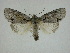  ( - 14-NCCC-239)  @14 [ ] Unspecified (default): All Rights Reserved  Unspecified Unspecified
