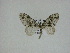  ( - 14-NCCC-246)  @13 [ ] Unspecified (default): All Rights Reserved  Unspecified Unspecified