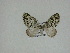  ( - 14-NCCC-247)  @13 [ ] Unspecified (default): All Rights Reserved  Unspecified Unspecified