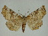  ( - 14-NCCC-264)  @14 [ ] Unspecified (default): All Rights Reserved  Unspecified Unspecified