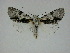  ( - 14-NCCC-279)  @13 [ ] Unspecified (default): All Rights Reserved  Unspecified Unspecified