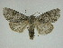  ( - 14-NCCC-284)  @13 [ ] Unspecified (default): All Rights Reserved  Unspecified Unspecified